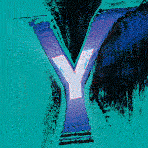 Y